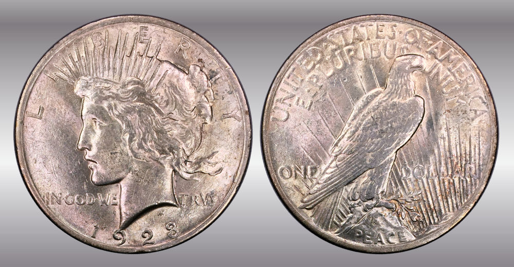 My-Raw-Peace-Dollar-Collection.-.-.-.-Warning!